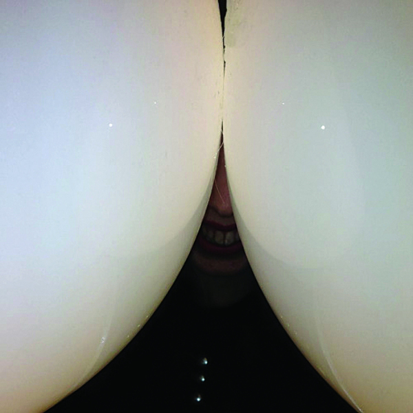 Death Grips – Bottomless Pit (2016)
